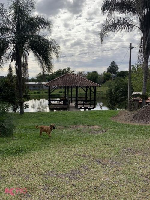 Imóvel 814
